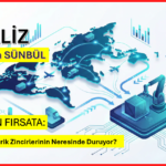 Krizden Fırsata:  Türkiye Tedarik Zincirlerinin Neresinde?