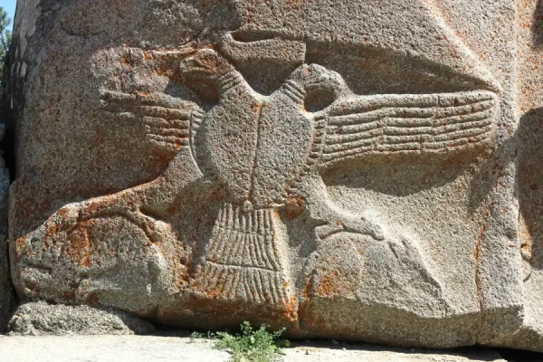 kartal (1) (1)